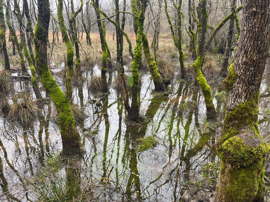 龙圈帐篷营地主图