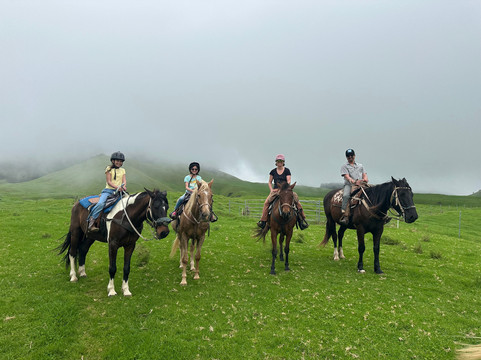 Na'alapa Stables - Kahua Ranch-卡慕也拉必去景点