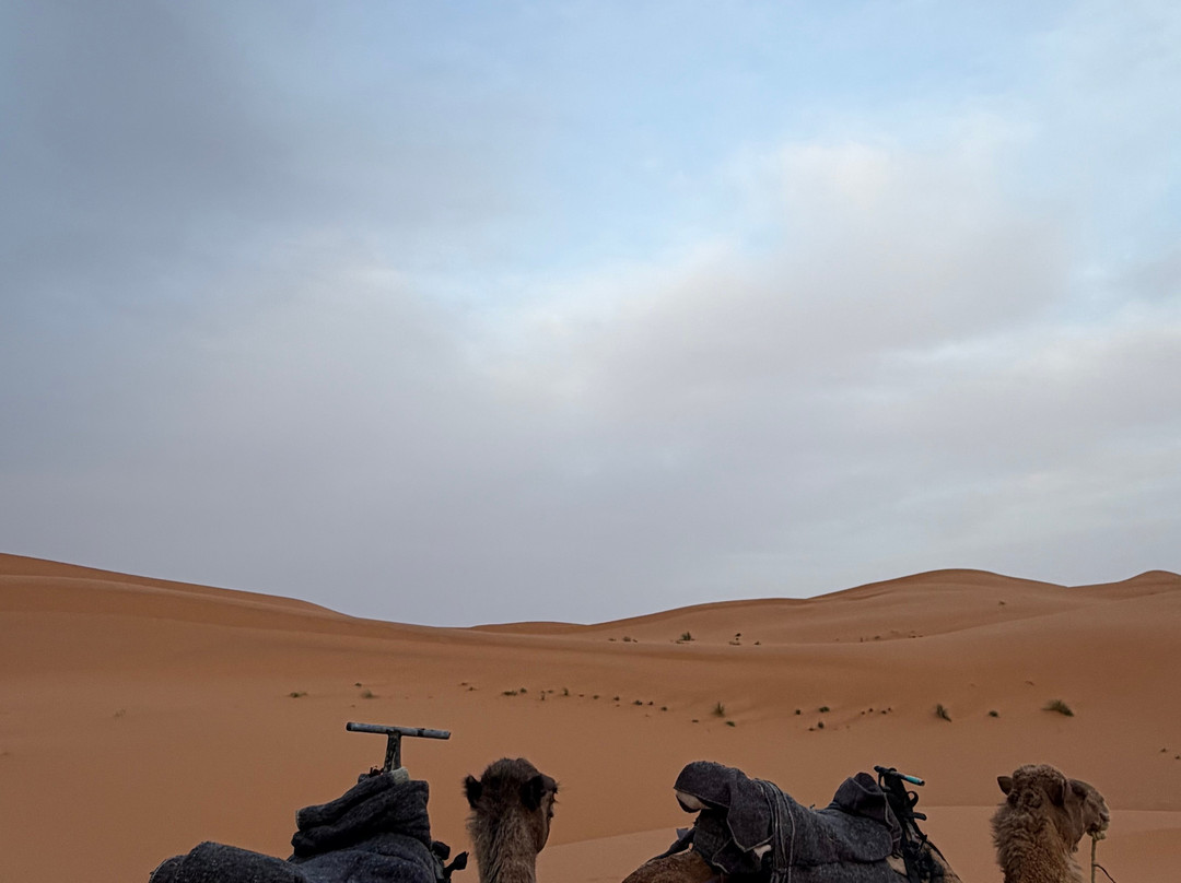 Desert Excursion Morocco-丹吉尔必去景点