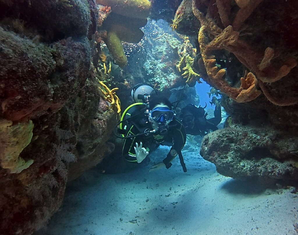 Remi Diving in Mexico-普拉亚德尔卡曼必去景点
