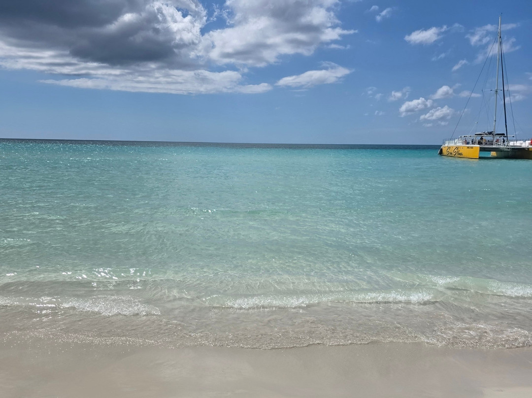 Liberty Tours Jamaica - Day Tours-蒙特戈贝必去景点