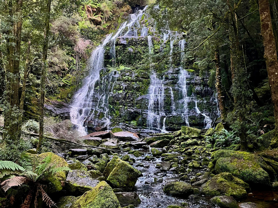Tassie Tours Tasmania-霍巴特必去景点