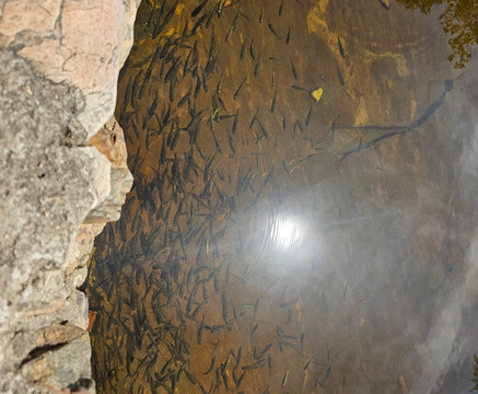 Cachoeiras Complexo Claro-Delfinopolis必去景点