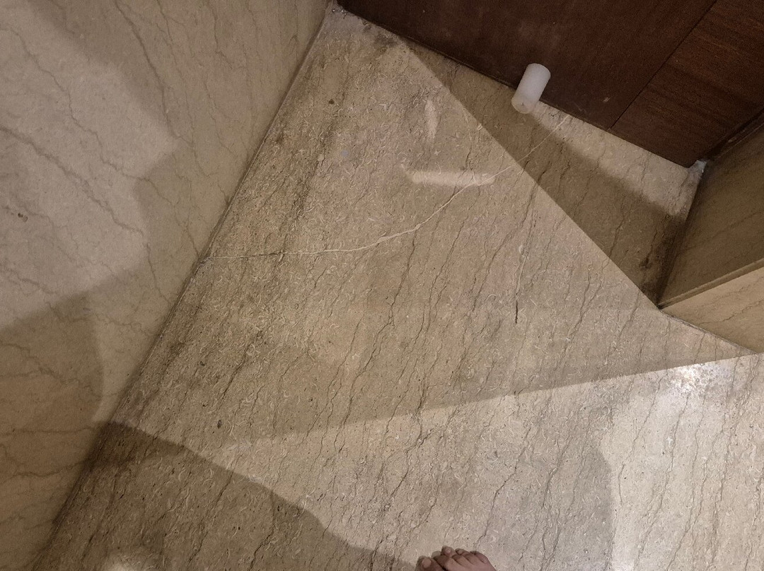 Babylon Capital主图