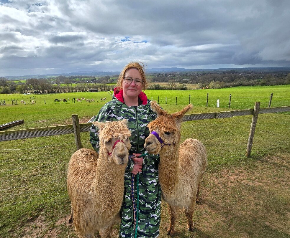 Severn Valley Alpacas-Bridgnorth必去景点