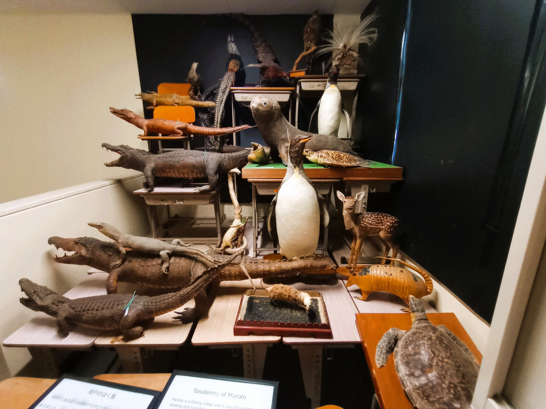 Muroto Haiko Aquarium-室户市必去景点