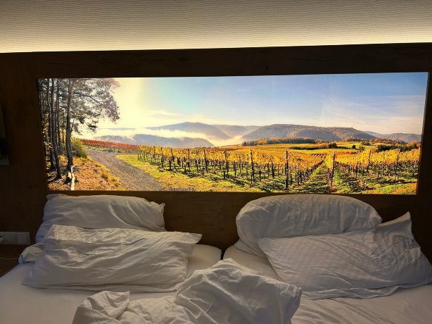 诺德霍夫酒店-官方