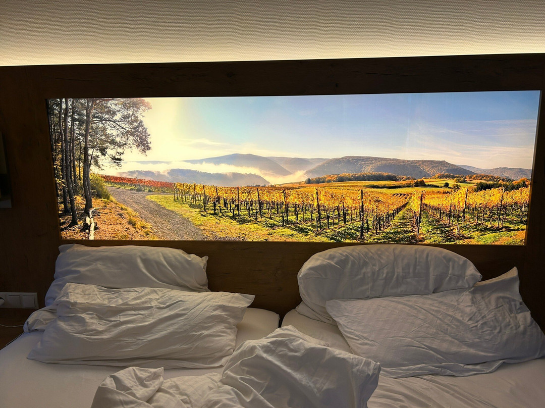 诺德霍夫酒店主图