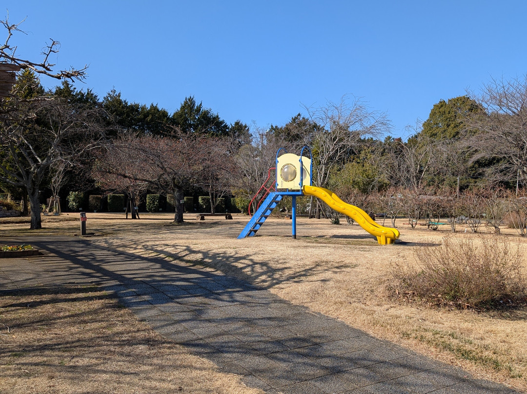 Odawara Flower Garden-小田原市必去景点