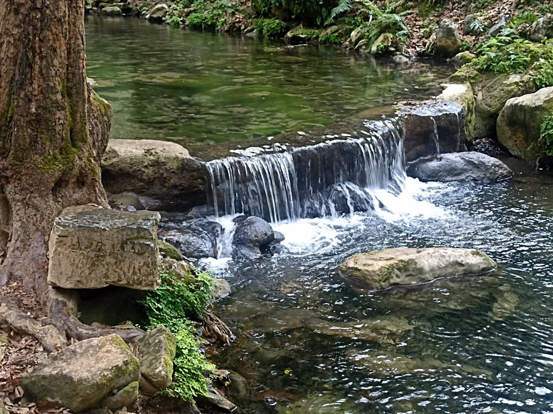 Cascada El Chuveje-Pinal de Amoles必去景点
