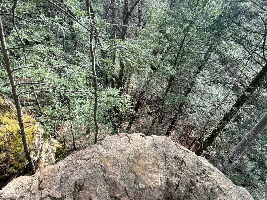 Cantwell Cliffs-洛根必去景点