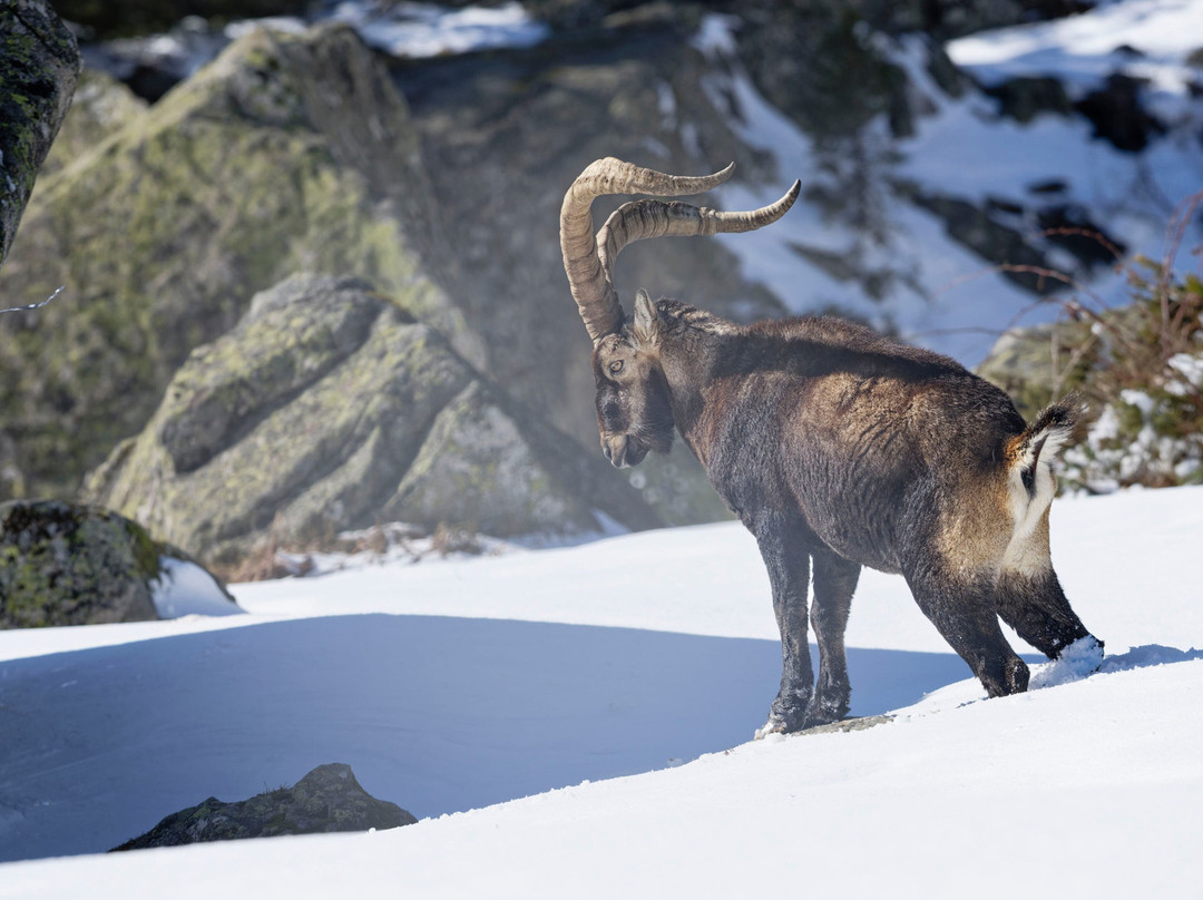 Hadrien Brasseur-Arrens-Marsous必去景点
