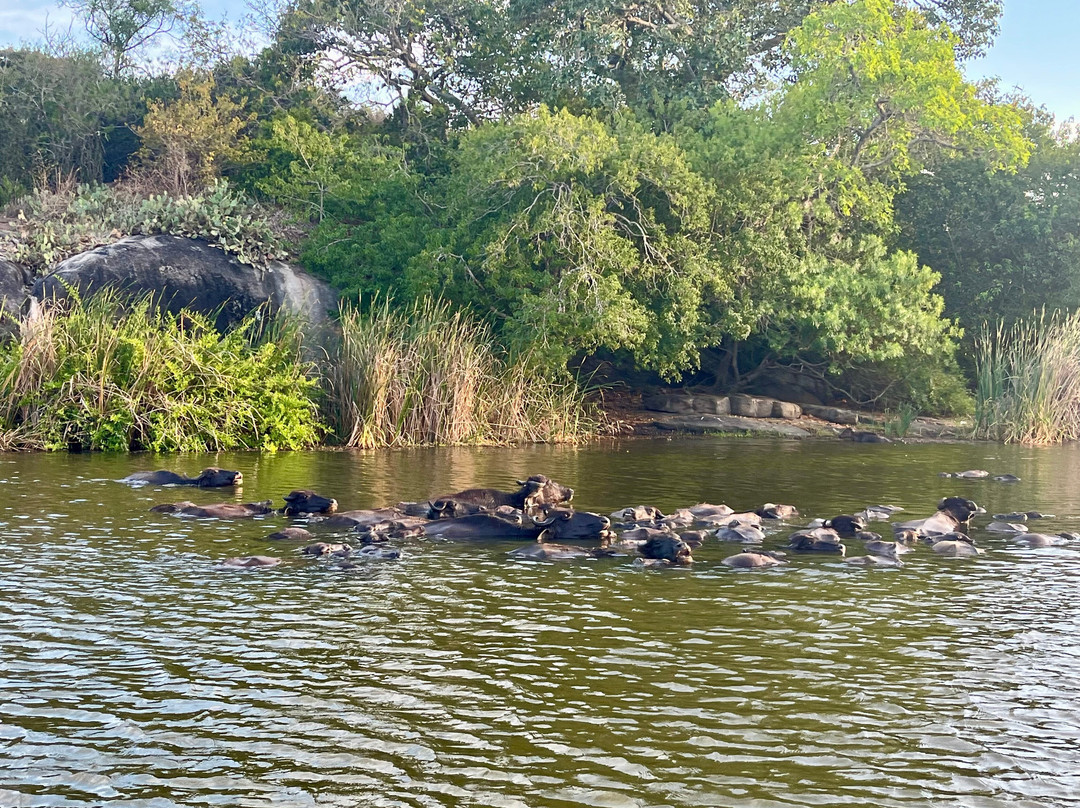 Kalametiya Eco Bird Watching-Kalametiya必去景点