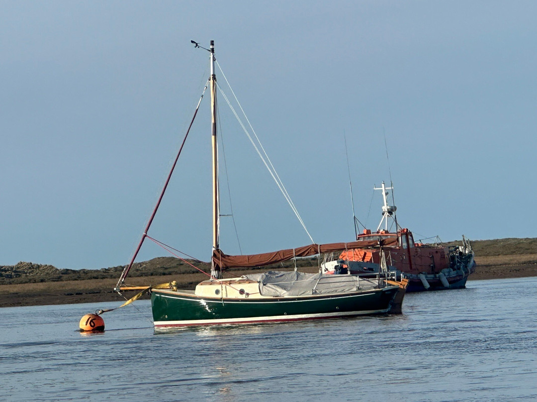 Bishops Boats Seal Trips-布莱克尼必去景点