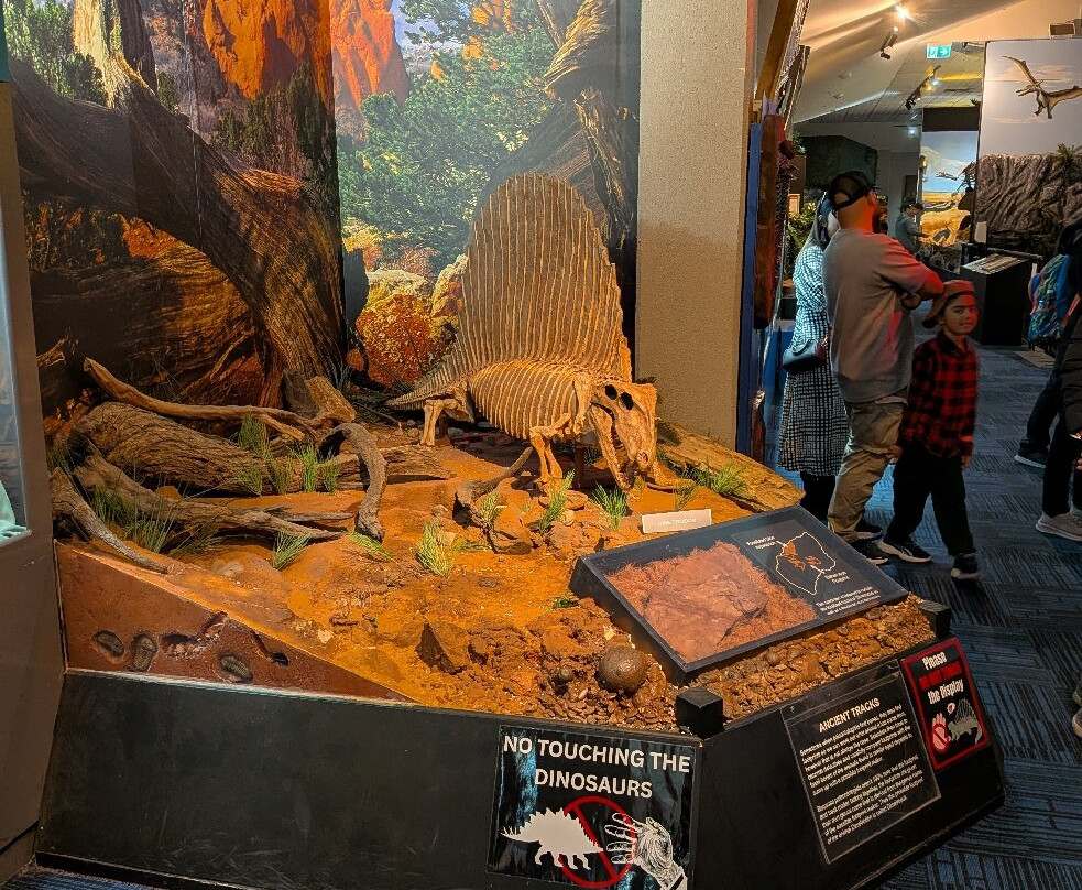 The National Dinosaur Museum-尼克斯必去景点