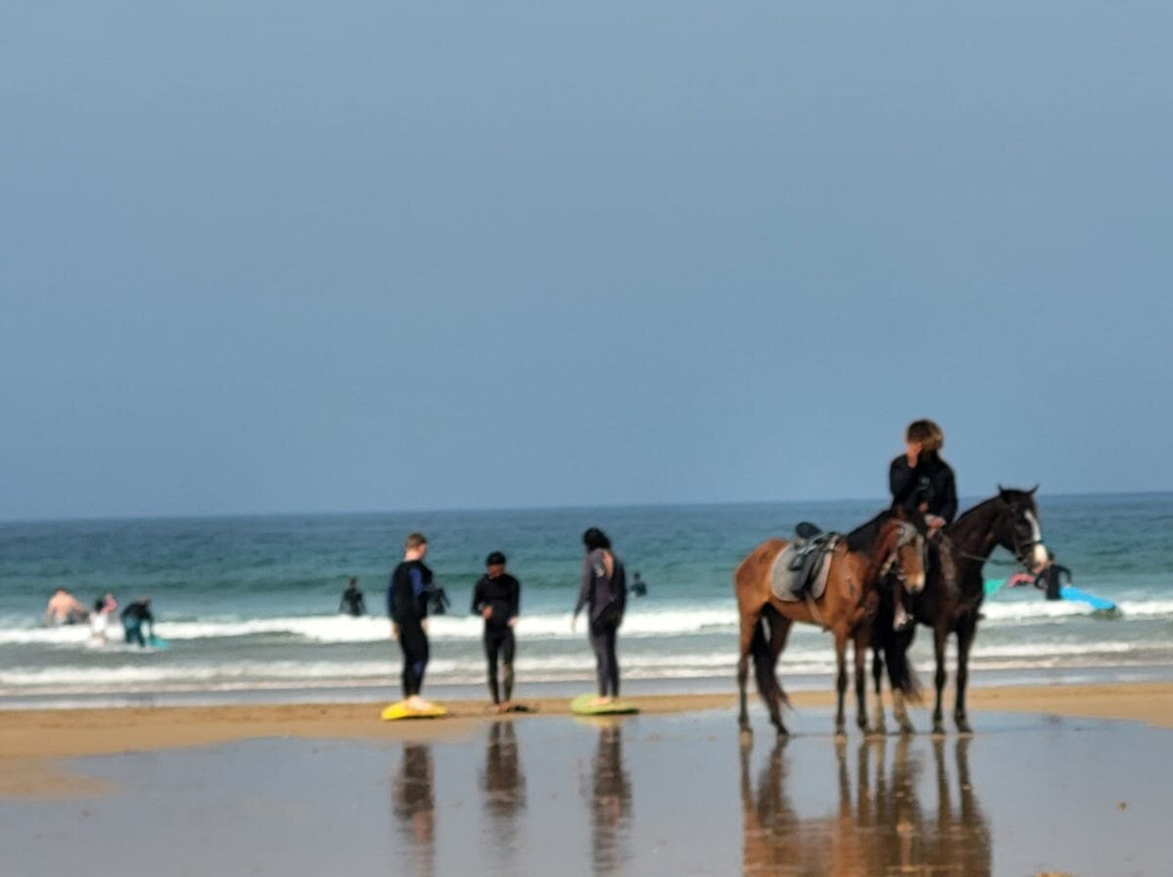 Culture Surf Morocco-Tamraght必去景点