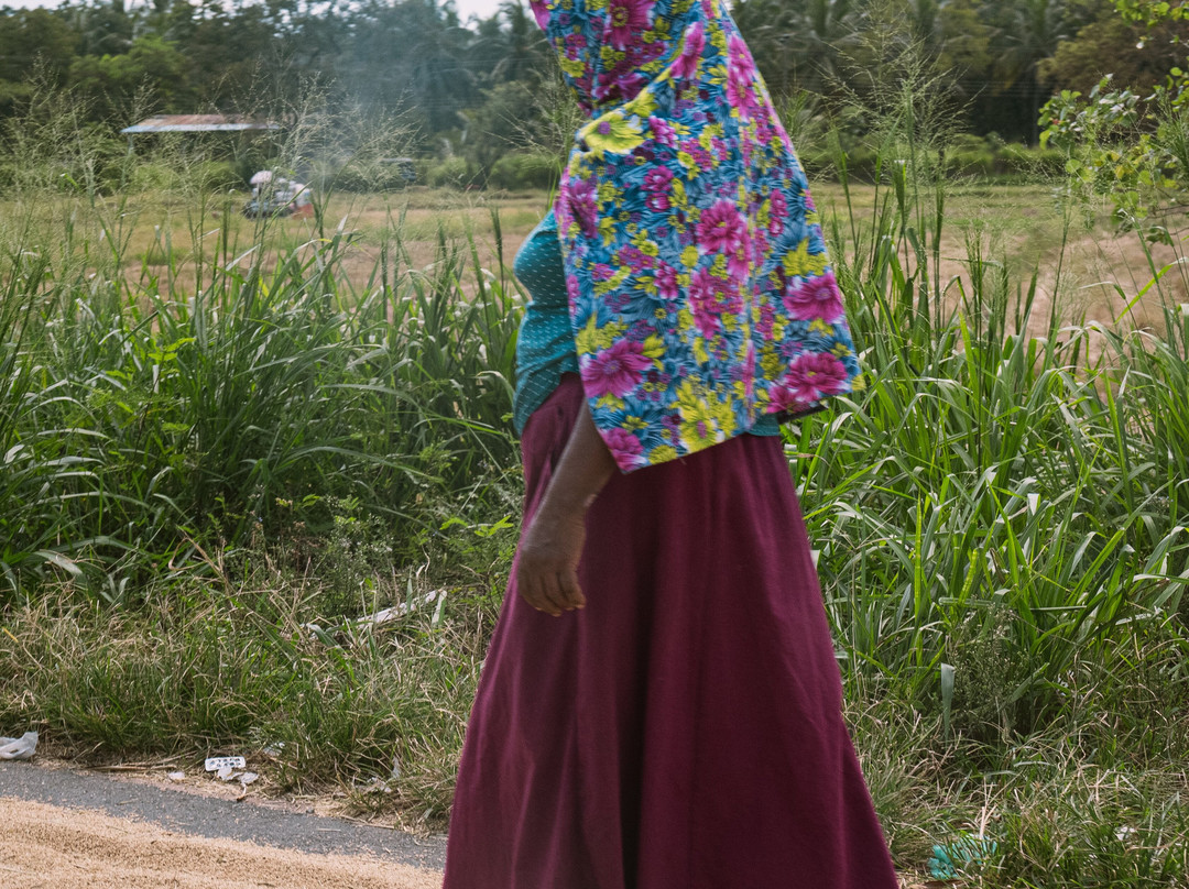 H.O.T Tourism-科伦坡必去景点