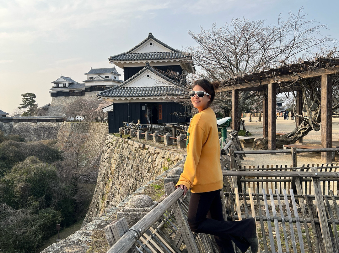 松山城-松山市必去景点