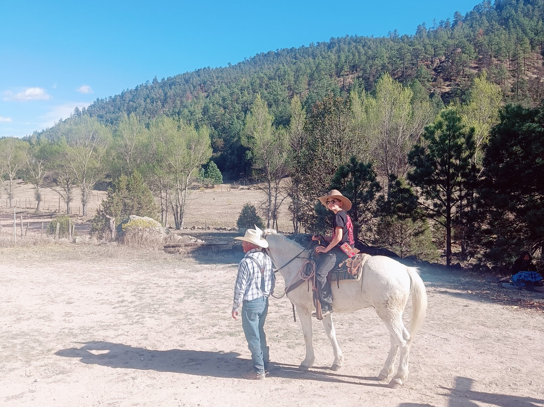 Creel Paseos A Caballo Vaquero-Creel必去景点
