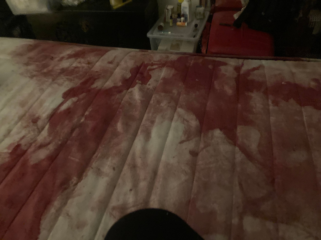 Forêt De Barbizon-巴比松必去景点