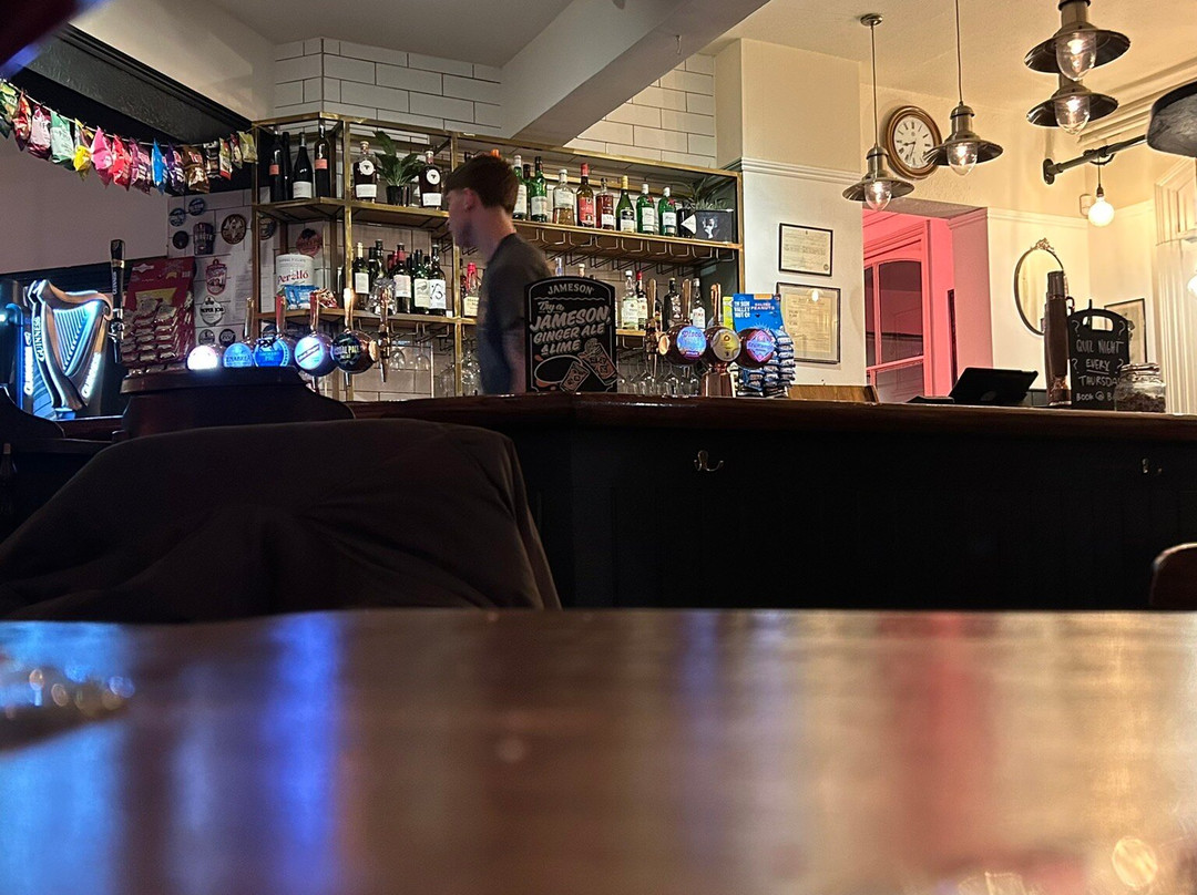 The Prestonville Arms-布莱顿必去景点