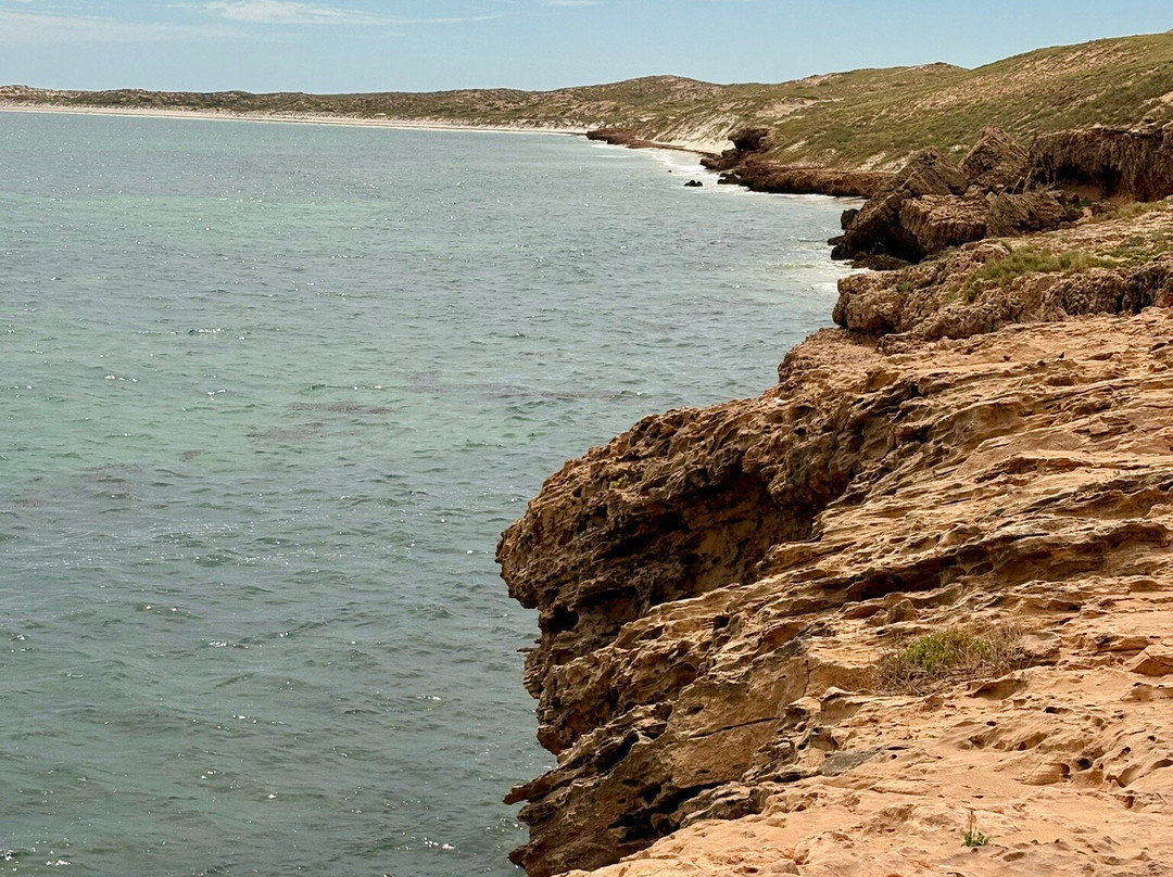 Coral Coast Tours-珊瑚湾必去景点