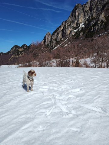 特来特内罗酒店-官方