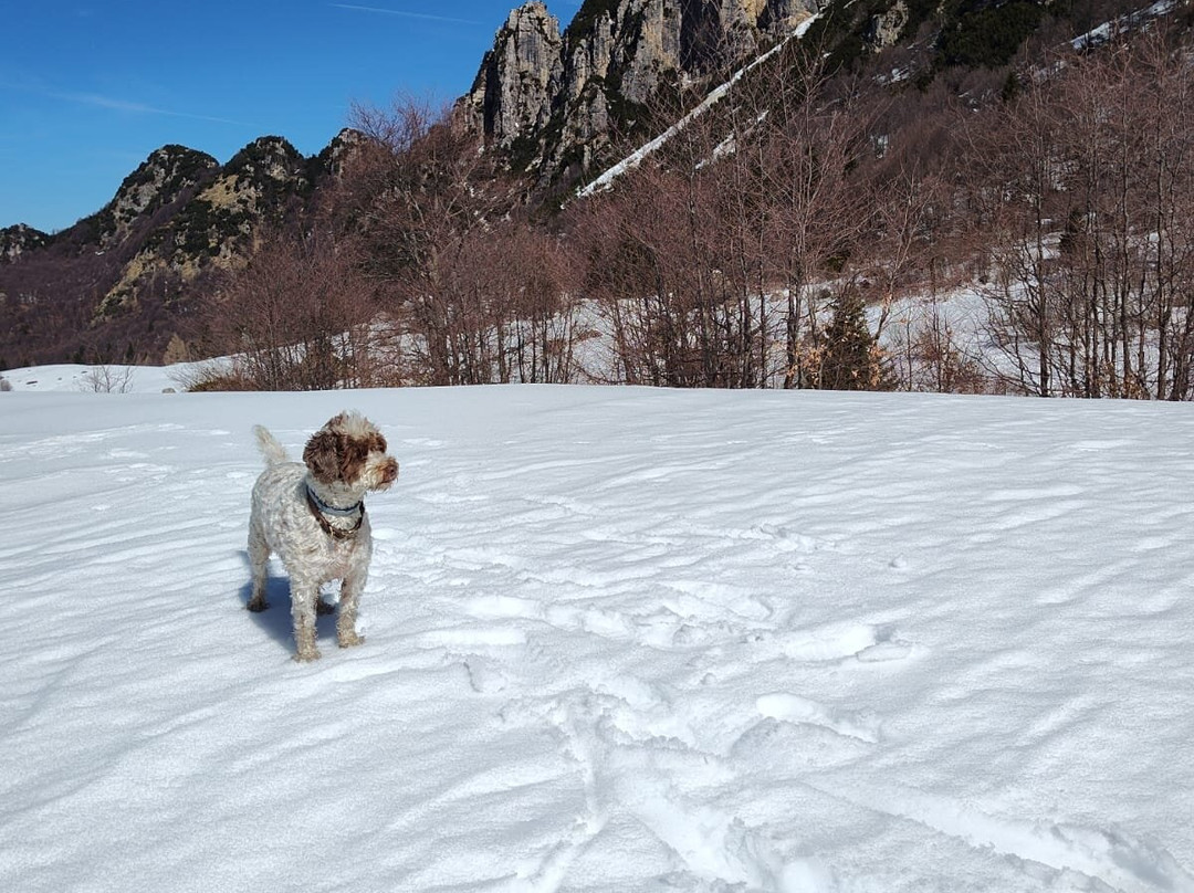 特来特内罗酒店主图