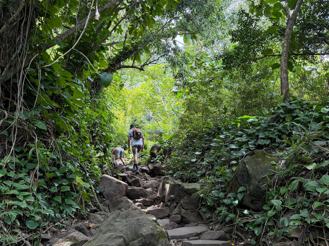 Hanakapiai Falls-可爱岛必去景点