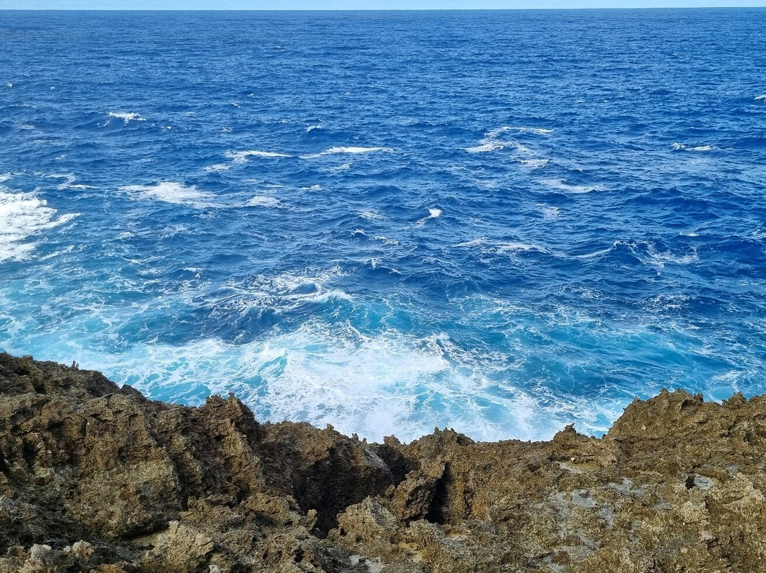 Niue OrientationTour-阿洛菲必去景点