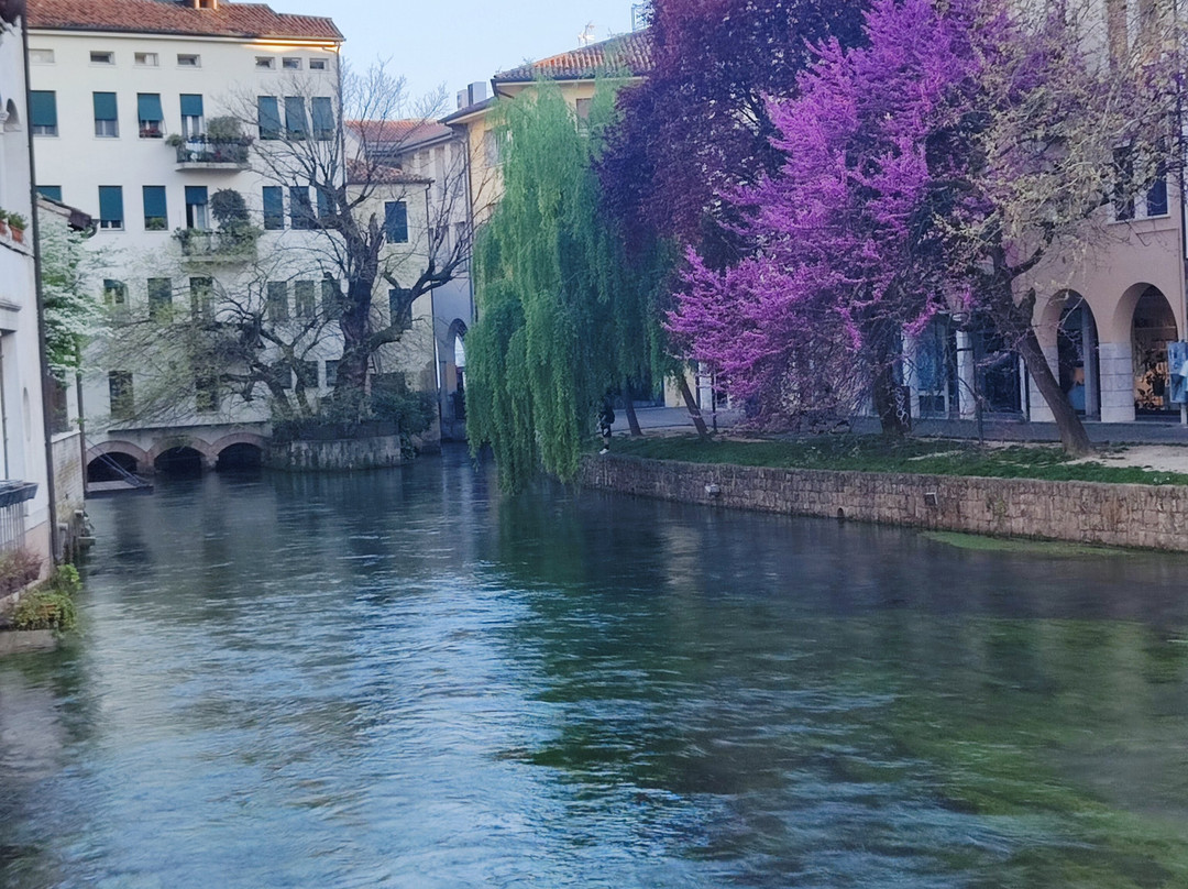 Via Buranelli-特雷维索必去景点