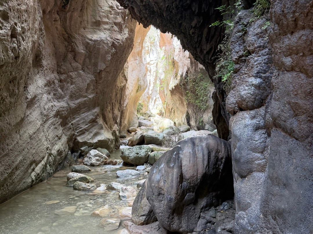 Avakas Gorge-帕福斯必去景点