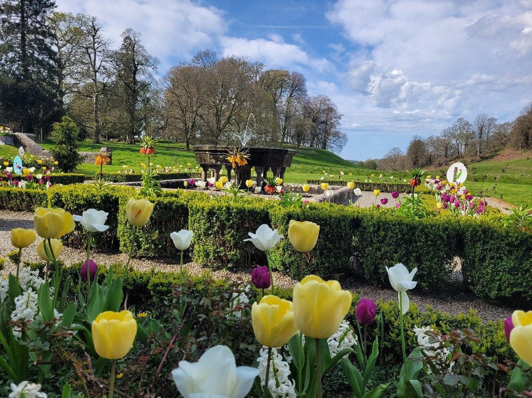 Dinefwr Estate-兰代洛必去景点