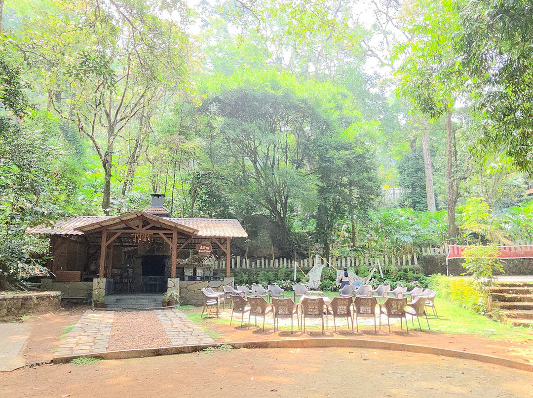 蒙纳大树酒店主图