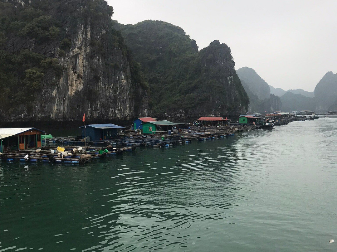 Cua Van Floating Village-下龙湾必去景点