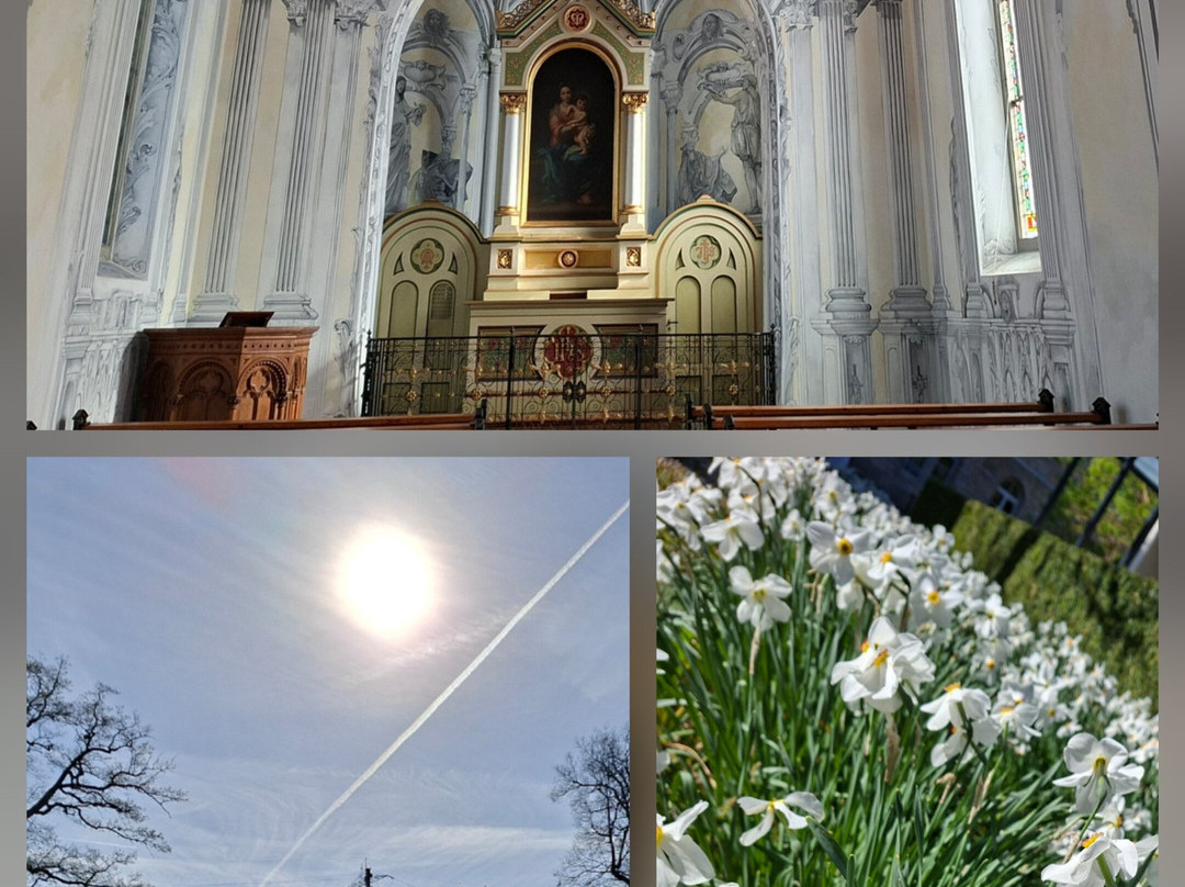 Bad Schinznach-Schinznach Bad必去景点