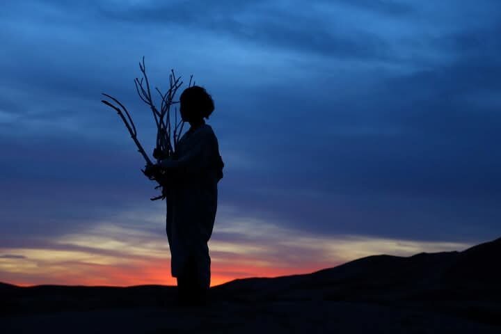 Wilderness Lodge Tours-旅行者