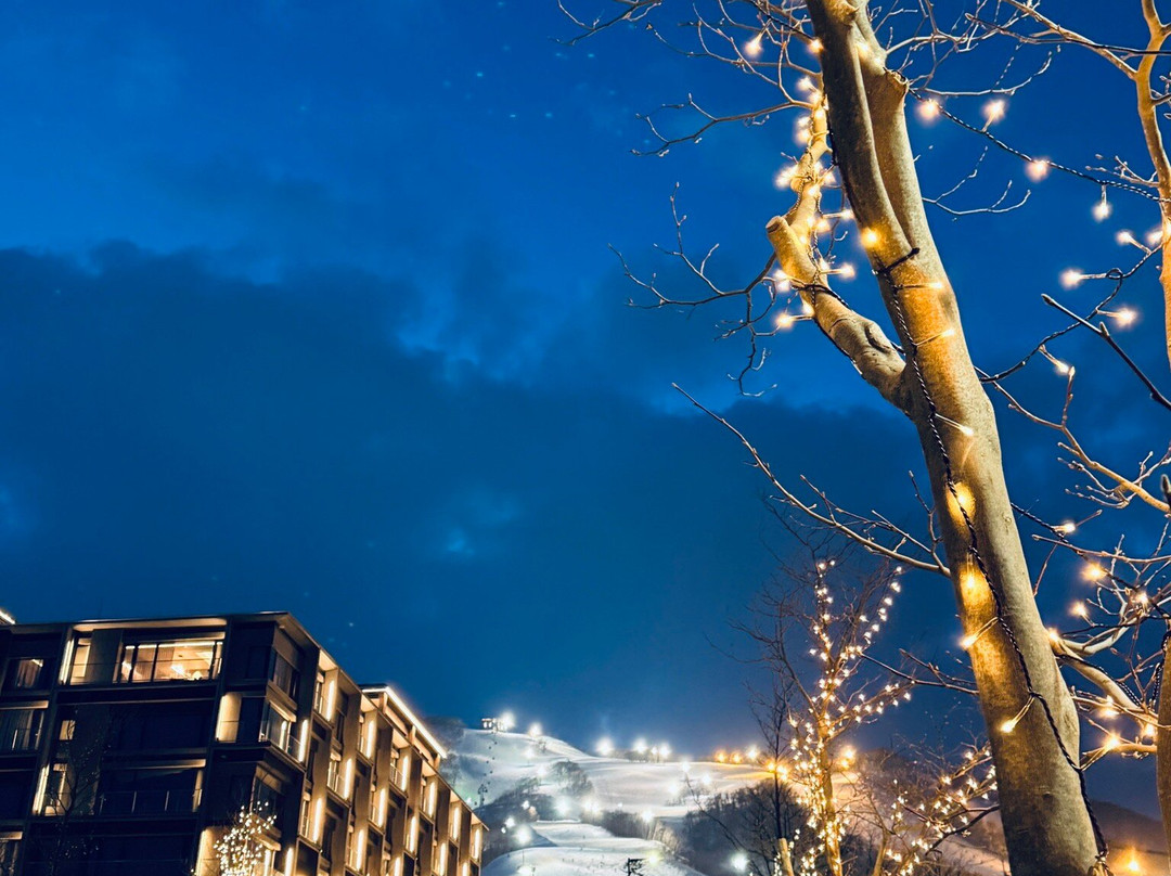 艾薇小木屋主图