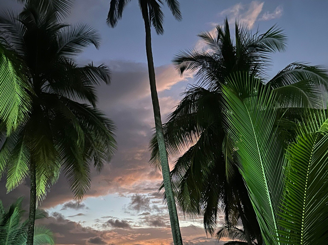 德芬贝胡科海滩酒店主图