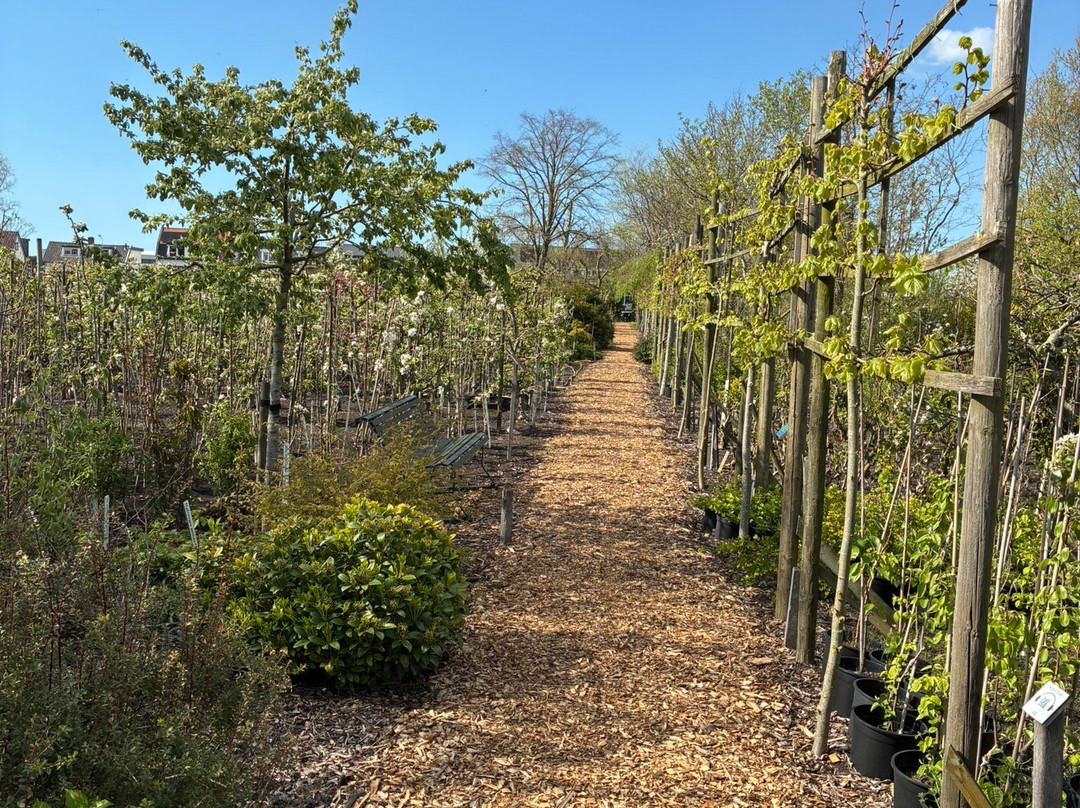 Tuinbouwmuseum Historische Tuin Aalsmeer-Aalsmeer必去景点