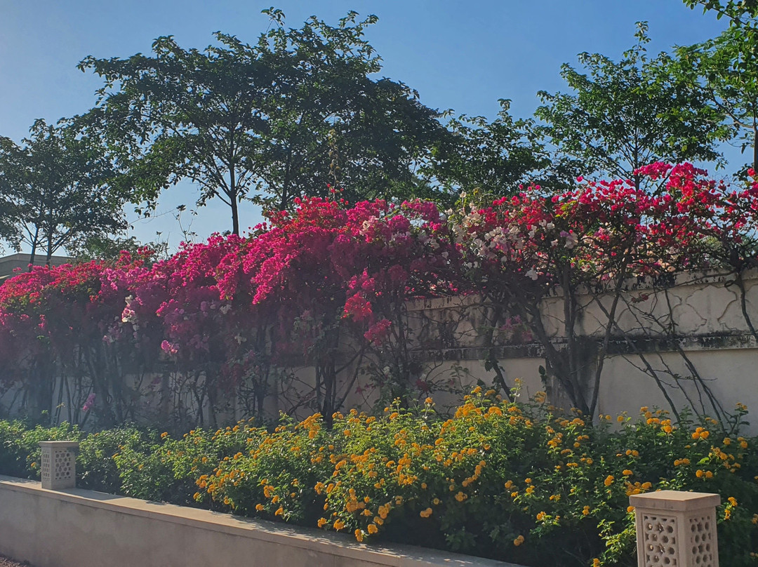 新昌迪加尔欧贝罗伊沙可维拉斯 SPA 度假村主图