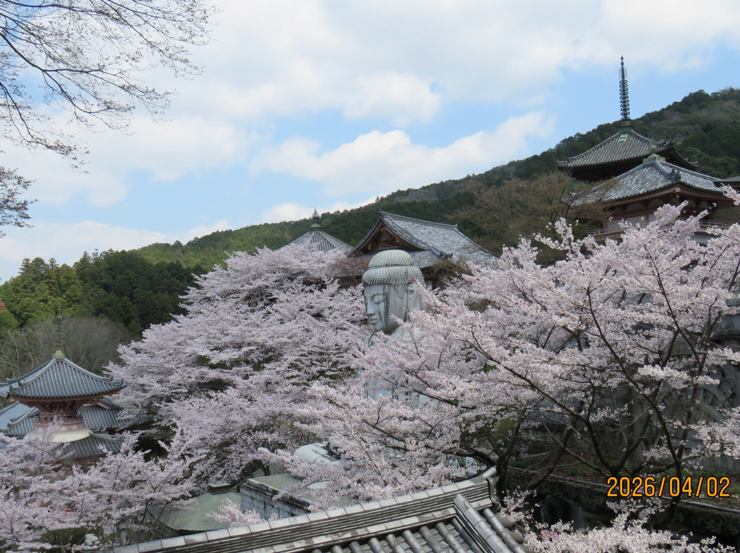 Tsubosaka-dera Temple-高取町必去景点
