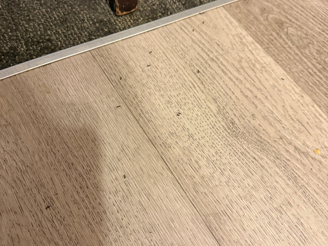 米西索加机场企业中心TownePlace Suites酒店主图