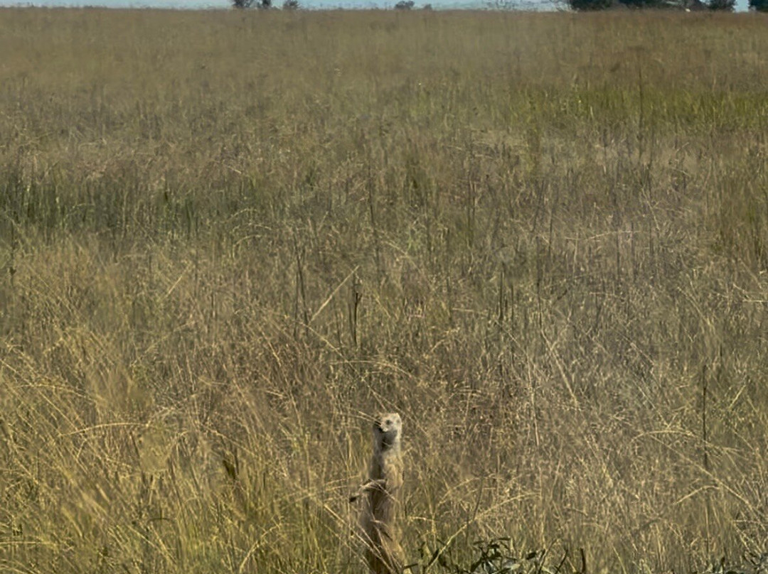 Dlamini 4 Africa Tours & Safaris-比勒陀利亚必去景点