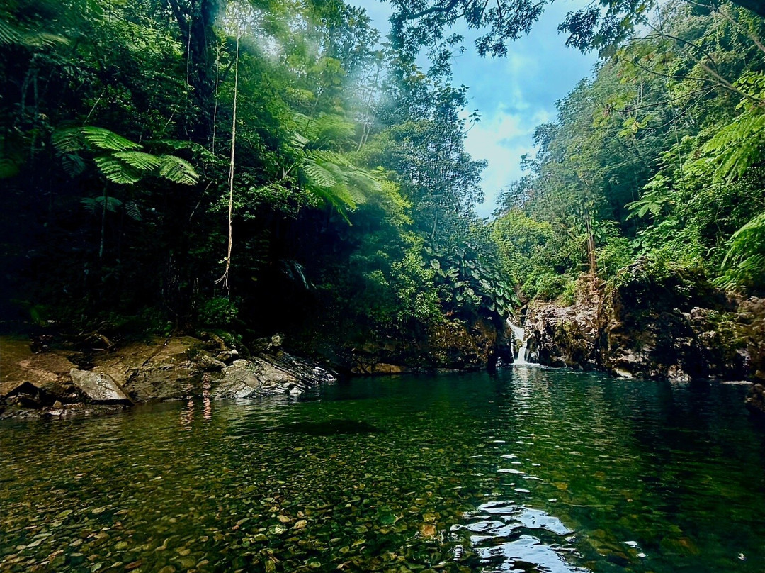 Spotin tours-Guaynabo必去景点