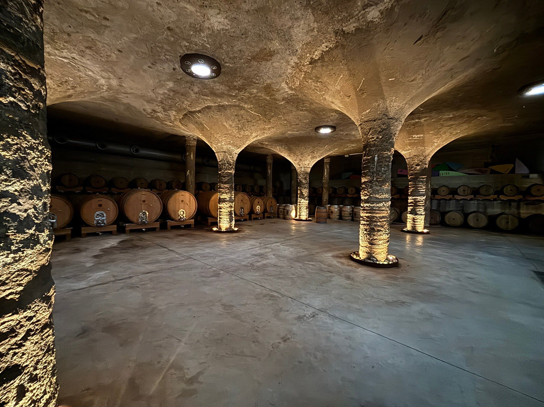 Tenuta Di Castellaro Winery-利帕里必去景点