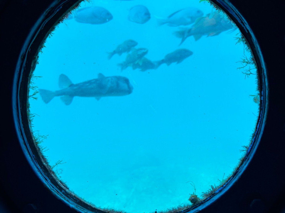Kushimoto Marine Park Undersea Tower-串本町必去景点