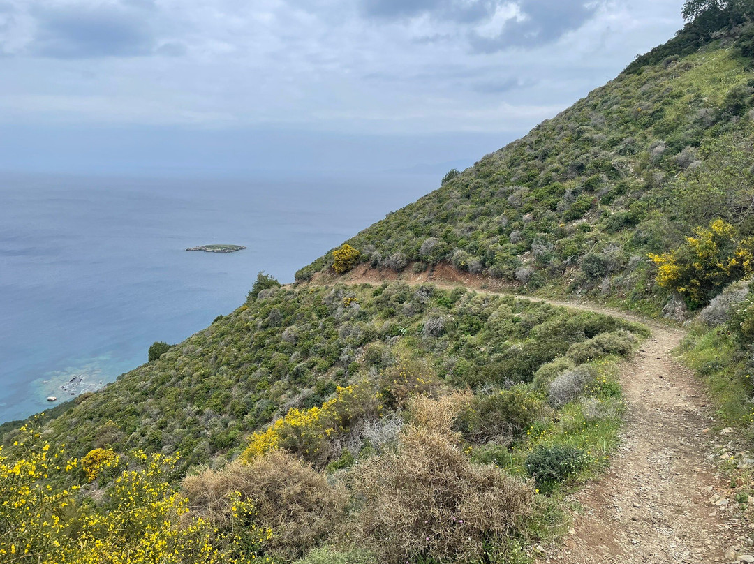 Aphrodite Trail-Latchi必去景点