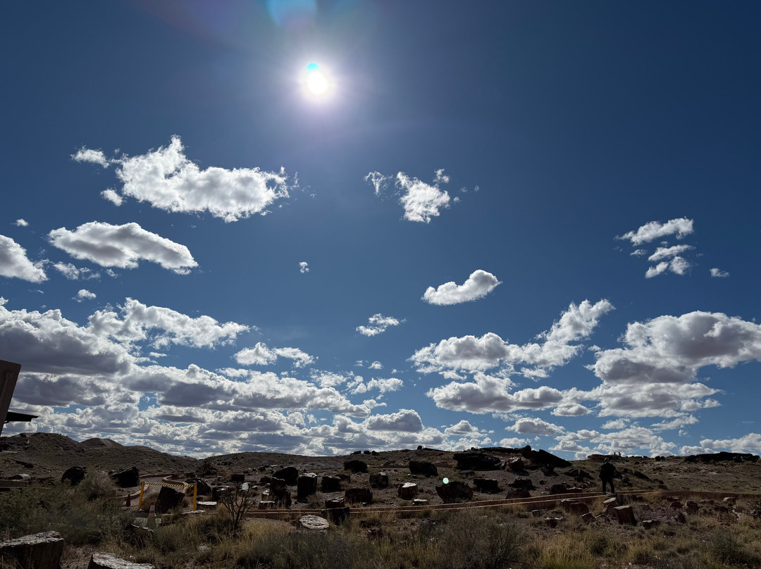 Painted Desert-石化林国家公园必去景点