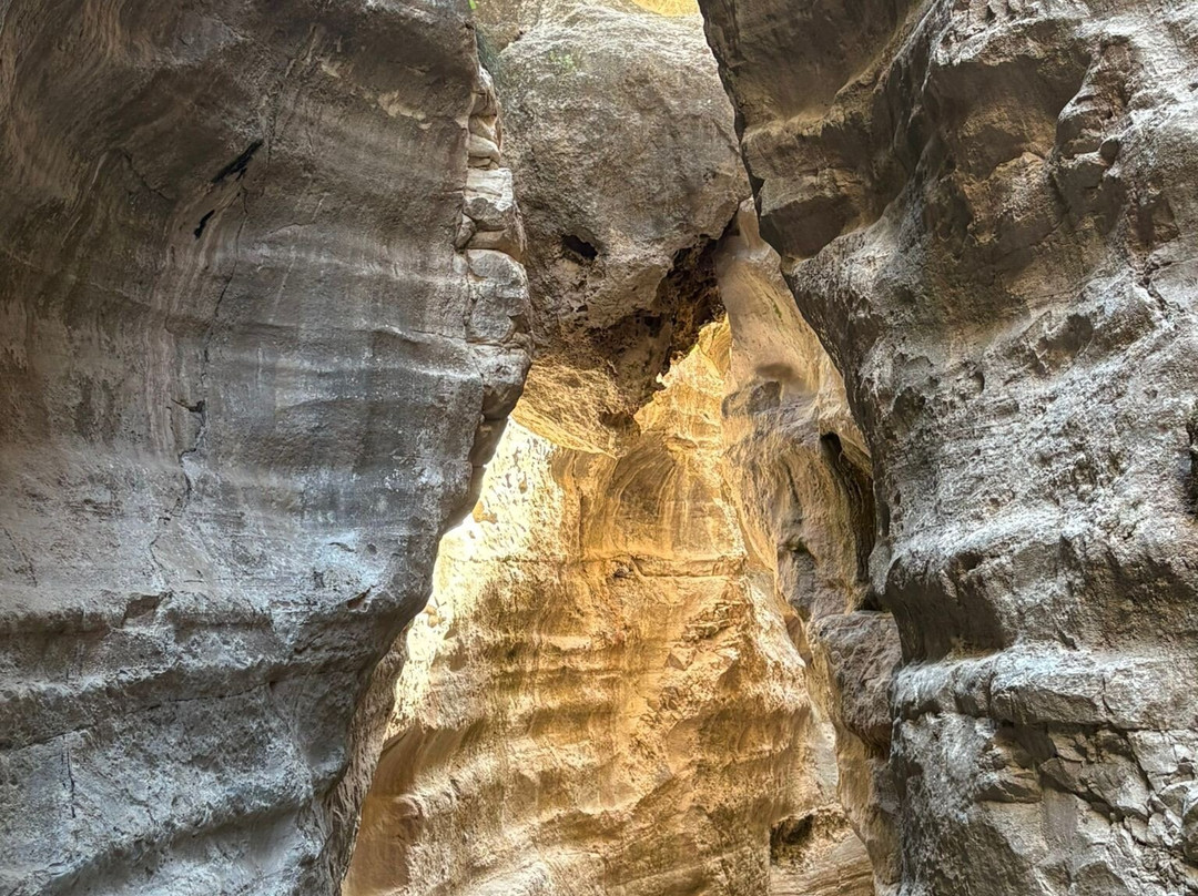 Avakas Gorge-帕福斯必去景点
